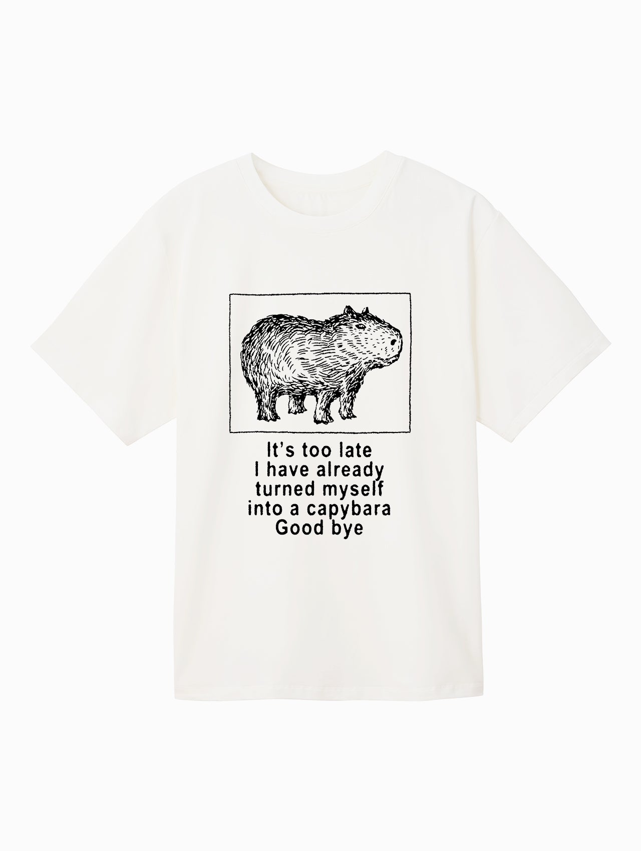 Turned Capybara BY John Davis