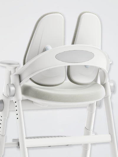 Adjustable Study Chair（US&CA ONLY）