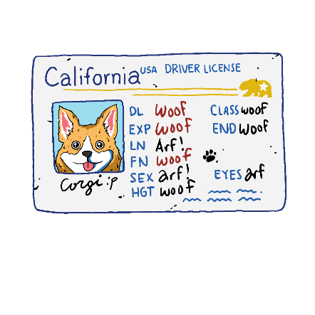 Corgi's Driver License long-sleeve shirt BY John Davis