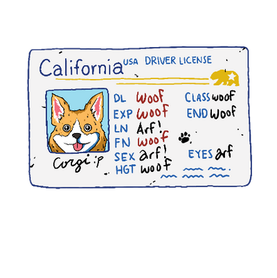 Corgi's Driver License 2 T-shirt BY John Davis